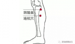 阴陵泉的准确位置视频,精准掌握养生之道